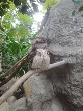 神戸どうぶつ王国に投稿された画像（2023/3/22）