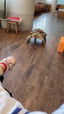 Moff animal cafe 小田原ダイナシティ店に投稿された画像（2023/3/22）