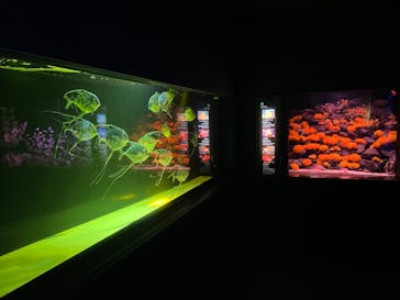 大分マリーンパレス水族館 「うみたまご」に投稿された画像（2023/3/22）