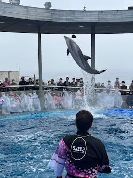 大分マリーンパレス水族館 「うみたまご」に投稿された画像（2023/3/22）