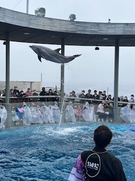 大分マリーンパレス水族館 「うみたまご」に投稿された画像（2023/3/22）