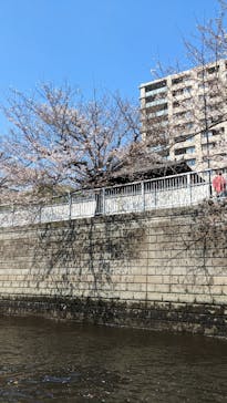 東京ウォータウェイズに投稿された画像（2023/3/22）