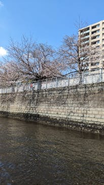 東京ウォータウェイズに投稿された画像（2023/3/22）