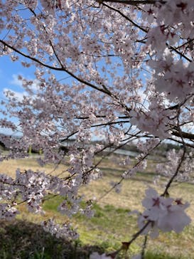 湯けむり天然秘湯 龍泉の湯に投稿された画像（2023/3/22）