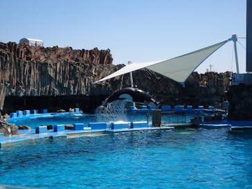 名古屋港水族館に投稿された画像（2023/3/22）