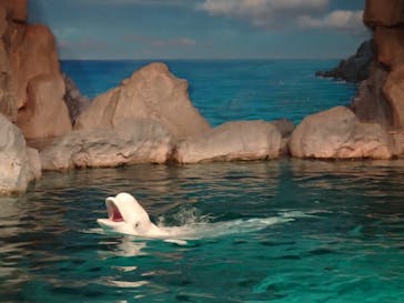 名古屋港水族館に投稿された画像（2023/3/22）