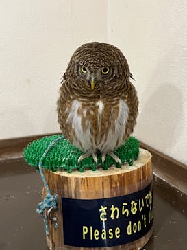 伊豆シャボテン動物公園に投稿された画像（2023/3/22）