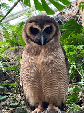 伊豆シャボテン動物公園に投稿された画像（2023/3/22）