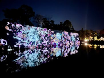 『NAKED FLOWERS 2023 桜 世界遺産・二条城』に投稿された画像（2023/3/22）