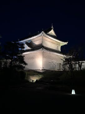 『NAKED FLOWERS 2023 桜 世界遺産・二条城』に投稿された画像（2023/3/22）