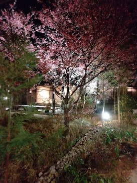 箱根湯寮に投稿された画像（2023/3/22）