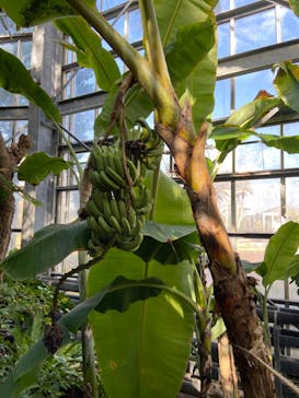 アロハガーデンたてやまに投稿された画像（2023/3/22）