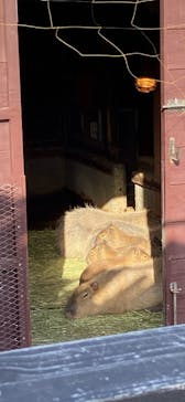 アロハガーデンたてやまに投稿された画像（2023/3/22）