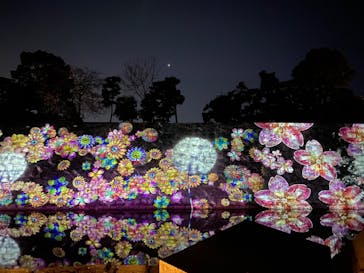 『NAKED FLOWERS 2023 桜 世界遺産・二条城』に投稿された画像（2023/3/22）