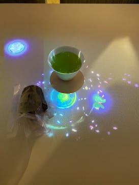 『NAKED FLOWERS 2023 桜 世界遺産・二条城』に投稿された画像（2023/3/22）