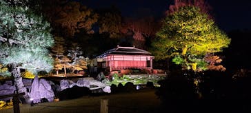 『NAKED FLOWERS 2023 桜 世界遺産・二条城』に投稿された画像（2023/3/22）