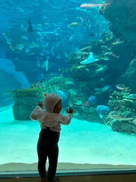 名古屋港水族館に投稿された画像（2023/3/22）