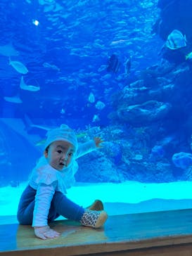 名古屋港水族館に投稿された画像（2023/3/22）