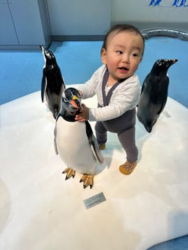 名古屋港水族館に投稿された画像（2023/3/22）