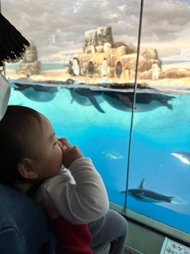 名古屋港水族館に投稿された画像（2023/3/22）