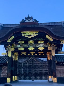 『NAKED FLOWERS 2023 桜 世界遺産・二条城』に投稿された画像（2023/3/22）