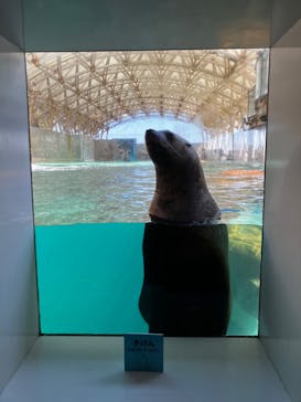 城崎マリンワールドに投稿された画像（2023/3/22）