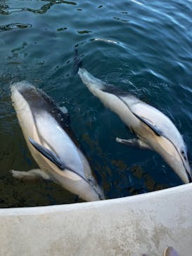 城崎マリンワールドに投稿された画像（2023/3/22）