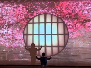 『NAKED FLOWERS 2023 桜 世界遺産・二条城』に投稿された画像（2023/3/22）