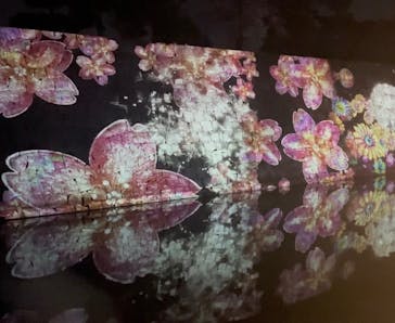 『NAKED FLOWERS 2023 桜 世界遺産・二条城』に投稿された画像（2023/3/22）