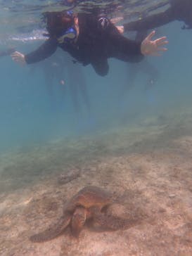 宮古島 ADVENTURE PiPi（ミヤコジマ アドベンチャー ピピ）に投稿された画像（2023/3/22）