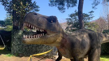 千葉こどもの国 キッズダムに投稿された画像（2023/3/22）