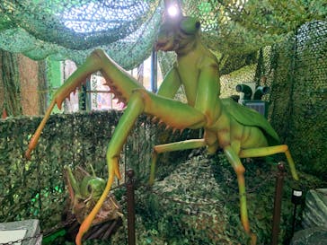 千葉こどもの国 キッズダムに投稿された画像（2023/3/22）