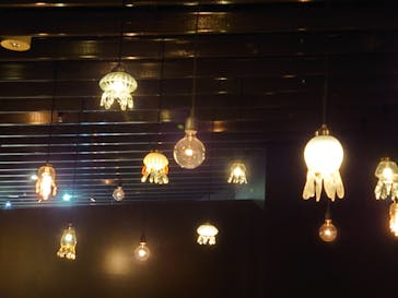 京都水族館に投稿された画像（2023/3/22）