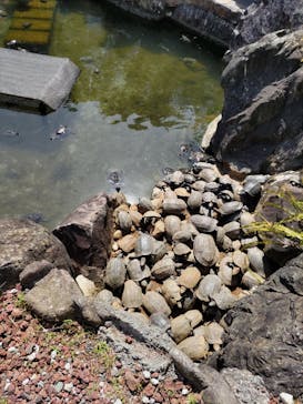 体感型動物園iZooに投稿された画像（2023/3/22）