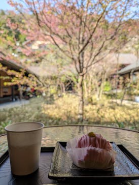 箱根湯寮に投稿された画像（2023/3/22）