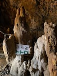 石垣島鍾乳洞に投稿された画像（2023/3/23）