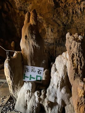 石垣島鍾乳洞に投稿された画像（2023/3/22）