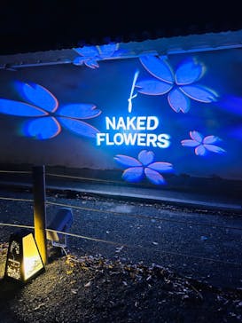 『NAKED FLOWERS 2023 桜 世界遺産・二条城』に投稿された画像（2023/3/22）