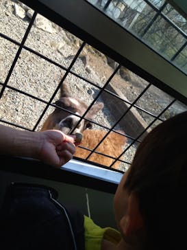 那須サファリパークに投稿された画像（2023/3/22）