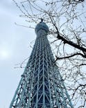 東京スカイツリーに投稿された画像（2023/3/23）