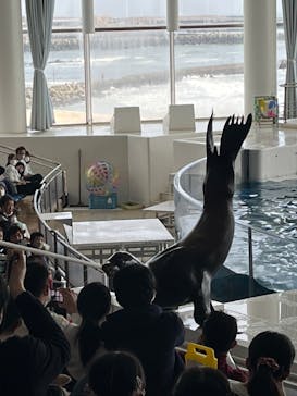 アクアワールド茨城県大洗水族館に投稿された画像（2023/3/23）