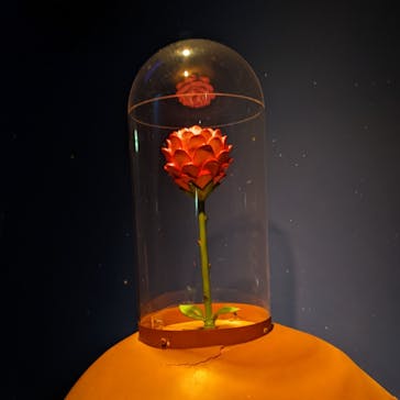 星の王子さまミュージアム 箱根サン=テグジュペリに投稿された画像（2023/3/23）