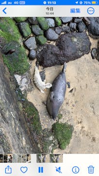 伊豆・三津シーパラダイスに投稿された画像（2023/3/23）