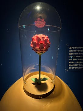 星の王子さまミュージアム 箱根サン=テグジュペリに投稿された画像（2023/3/23）
