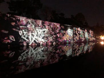 『NAKED FLOWERS 2023 桜 世界遺産・二条城』に投稿された画像（2023/3/23）