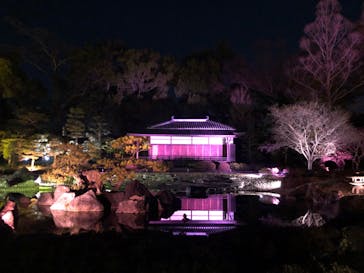 『NAKED FLOWERS 2023 桜 世界遺産・二条城』に投稿された画像（2023/3/23）