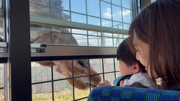 那須サファリパークに投稿された画像（2023/3/23）