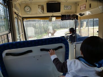 那須サファリパークに投稿された画像（2023/3/23）