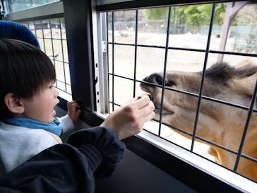 那須サファリパークに投稿された画像（2023/3/23）