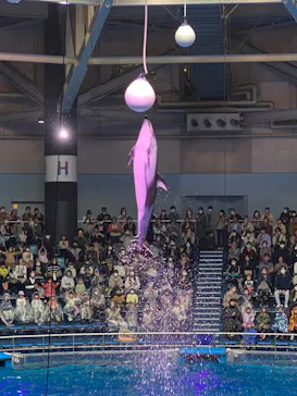 マクセル アクアパーク品川に投稿された画像（2023/3/23）